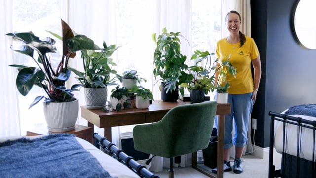 Houseplants | Grow From Your Strengths – Pothos & Philodendron