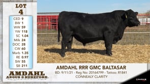 Lot #4 - AMDAHL RRR GMC BALTASAR