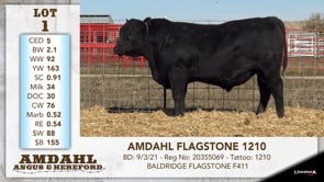 Lot #1 - AMDAHL FLAGSTONE 1210