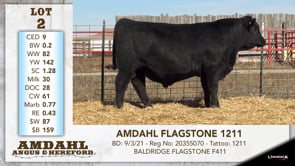 Lot #2 - AMDAHL FLAGSTONE 1211
