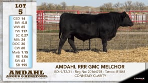 Lot #5 - AMDAHL RRR GMC MELCHOR