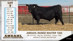 Lot #7 - AMDAHL RANGE MASTER 1202