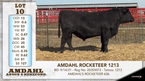 Lot #10 - AMDAHL ROCKETEER 1213