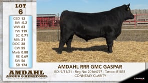 Lot #6 - AMDAHL RRR GMC GASPAR