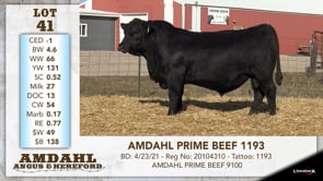 Lot #41 - AMDAHL PRIME BEEF 1193