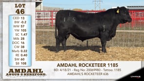 Lot #46 - AMDAHL ROCKETEER 1185