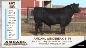 Lot #48 - AMDAHL WINDBREAK 1194