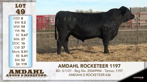 Lot #49 - AMDAHL ROCKETEER 1197