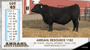 Lot #45 - AMDAHL RESOURCE 1182