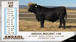 Lot #47 - AMDAHL RESILIENT 1188