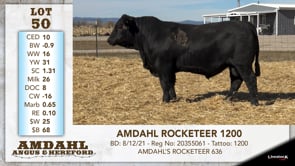 Lot #50 - AMDAHL ROCKETEER 1200