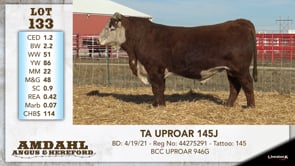 Lot #133 - TA UPROAR 145J