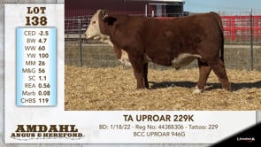 Lot #138 - TA UPROAR 229K