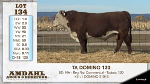 Lot #134 - TA DOMINO 130