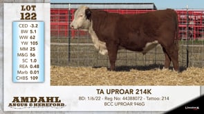 Lot #122 - TA UPROAR 214K