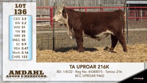 Lot #136 - TA UPROAR 216K