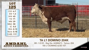 Lot #125 - TA L1 DOMINO 204K