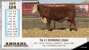 Lot #124 - TA L1 DOMINO 206K