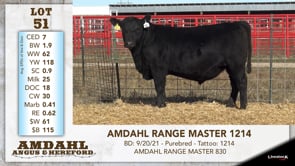 Lot #51 - AMDAHL RANGE MASTER 1214