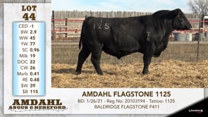Lot #44 - AMDAHL FLAGSTONE 1125