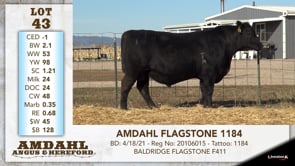 Lot #43 - AMDAHL FLAGSTONE 1184