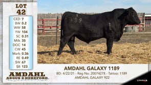 Lot #42 - AMDAHL GALAZY 1189