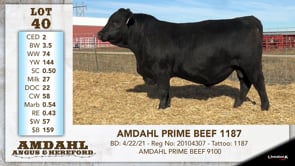Lot #40 - AMDAHL PRIME BEEF 1187