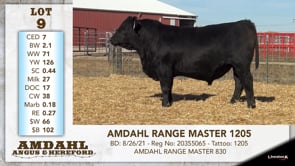 Lot #9 - AMDAHL RANGE MASTER 1205