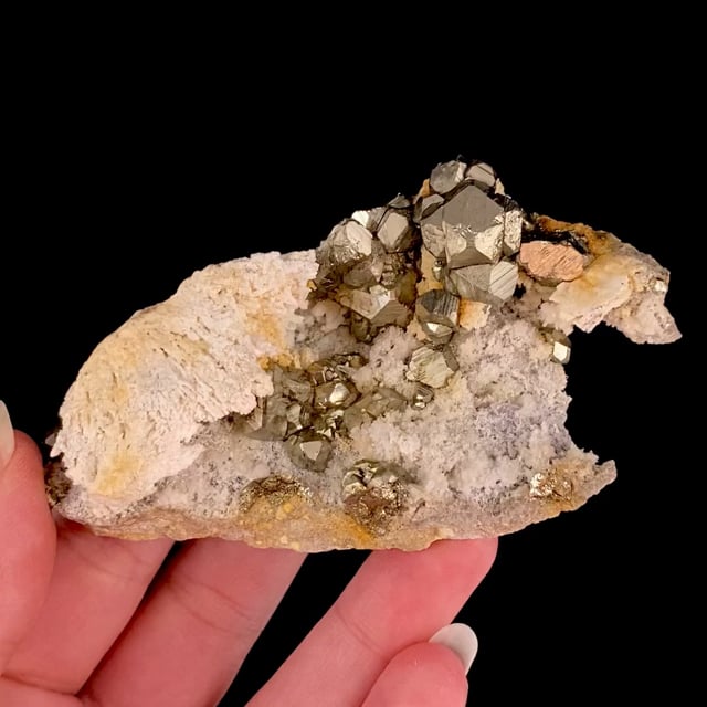 Pyrite (RARE locality specimen) (ex Dave Bergman Collection)