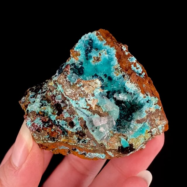 Aurichalcite with Hemimorphite and Rosasite