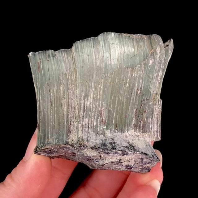 Antigorite (var: Picrolite) (RARE locality) (ex Bill and Anne Cook Collection)