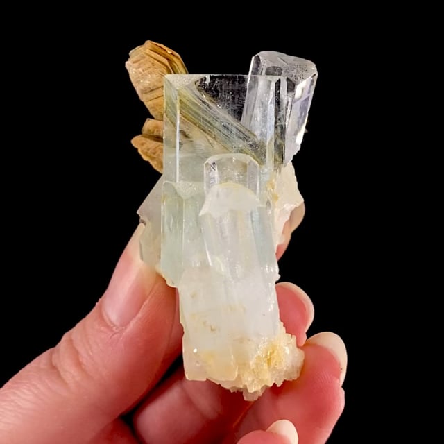 Aquamarine (GEMMY crystals) with Muscovite and Albite