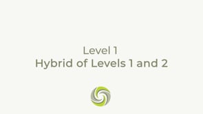 Hybrid of Levels 1 and 2