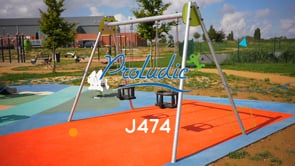 2 cradle seats J474 playgrounds traditional playground equipment swings video