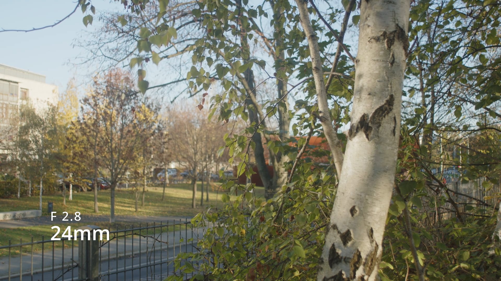 Nikon Nikkor AiS Lens Test