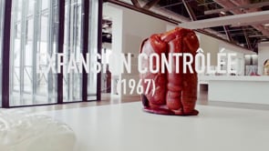 Vignette de la vidéo