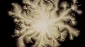 Vignette de la vidéo