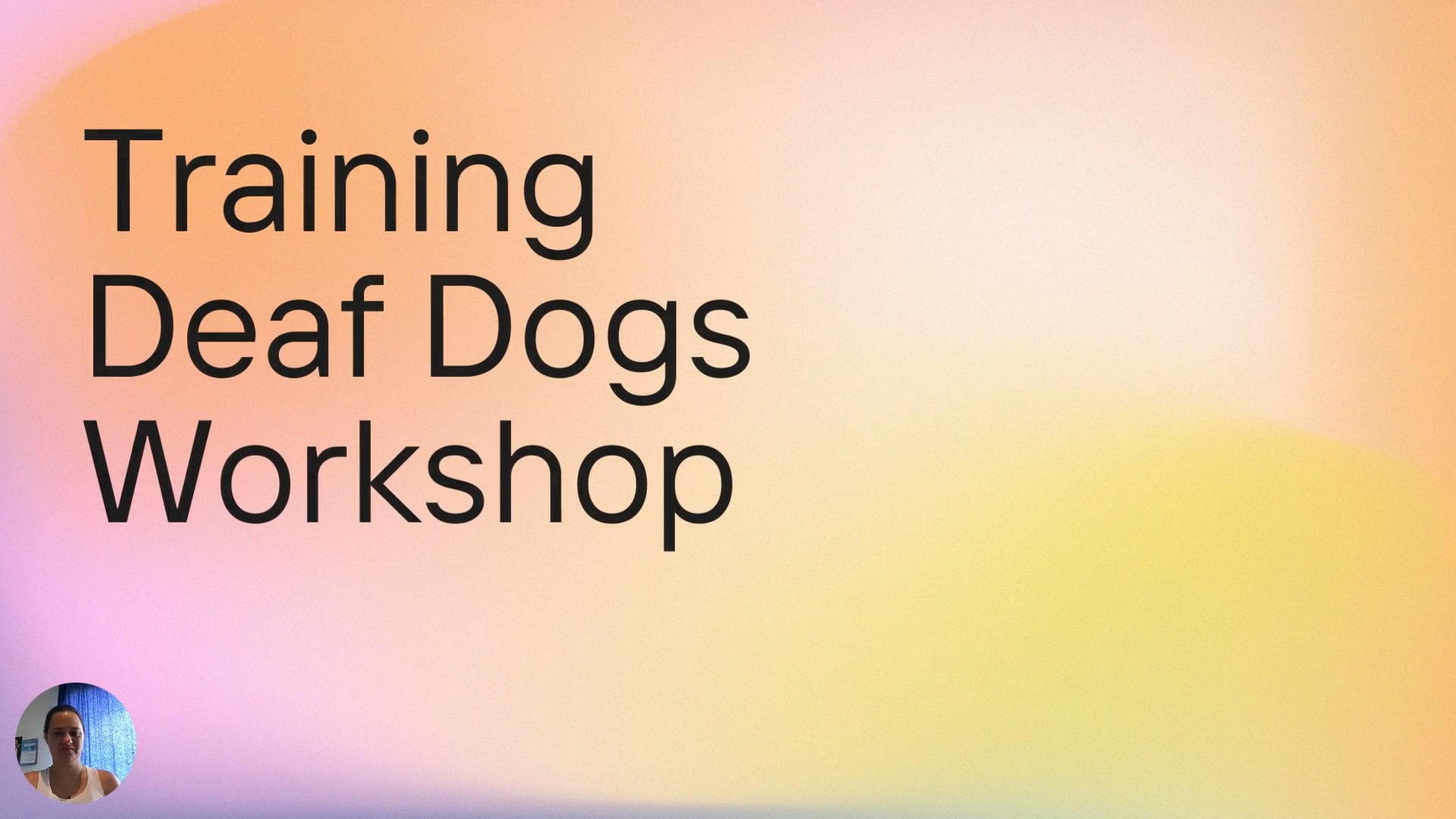 training-deaf-dogs-workshop-mp4-on-vimeo