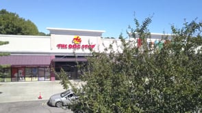 The Dog Stop Franchise Testimonials