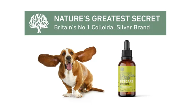 Dog ear clearance infection colloidal silver