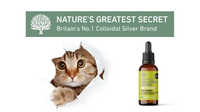 Colloidal silver for 2024 cats side effects