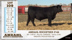 Lot #109 - AMDAHL ROCKETEER 2144