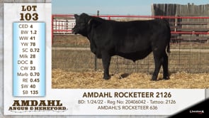 Lot #103 - AMDAHL ROCKETEER 2126