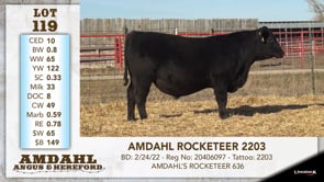 Lot #119 - AMDAHL ROCKETEER 2203