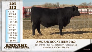 Lot #113 - AMDAHL ROCKETEER 2160