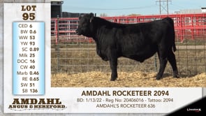 Lot #95 - AMDAHL ROCKETEER 2094