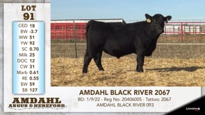 Lot #91 - AMDAHL BLACK RIVER 2067