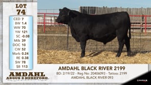 Lot #74 - AMDAHL BLACK RIVER 2199