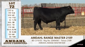 Lot #72 - AMDAHL RANGE MASTER 2189