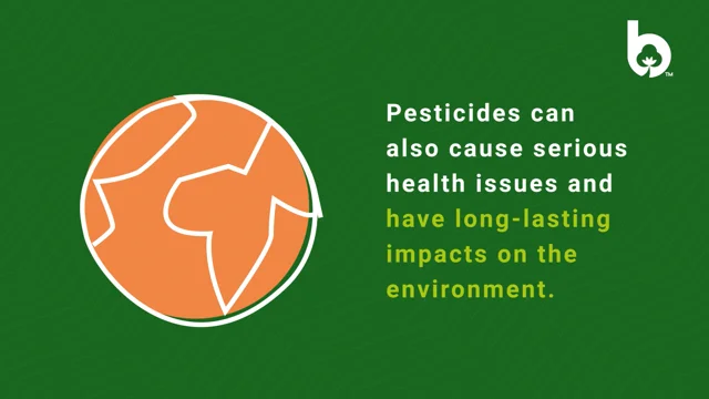 Pesticides & crop protection in cotton farming: what Better Cotton is doing